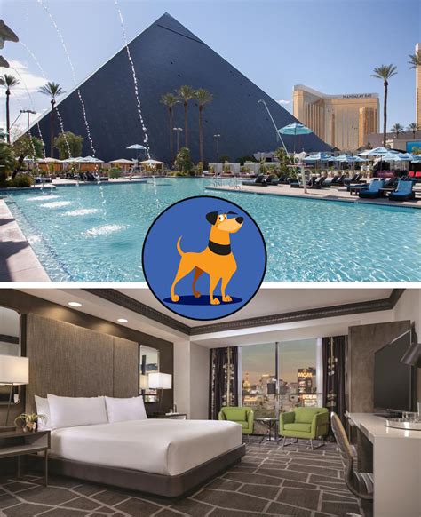 dog friendly las vegas hotels.